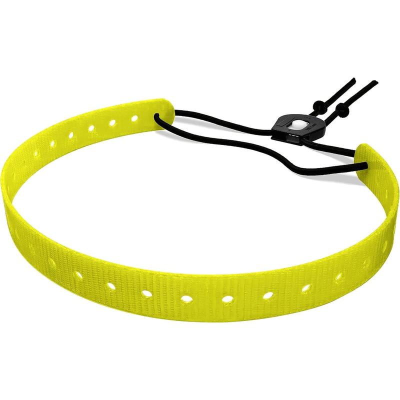 Dogtra bungee collar best sale