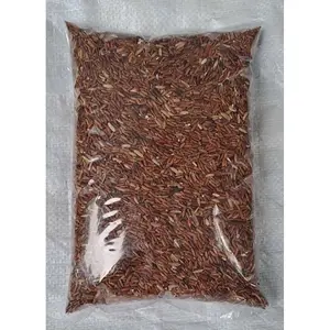 Beras merah Pulen kemasan 1 kg AR GARDEN SEED