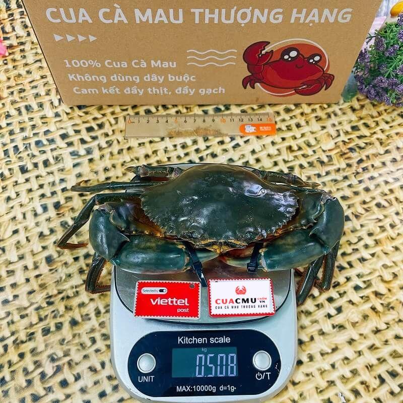 Cua Thịt+Gạch size 2 con/kg - Cam kết chính gốc Cà Mau, tỷ lệ thịt và gạch trong thân cua đạt trên 90% -  CUACMU chấm Vn 0