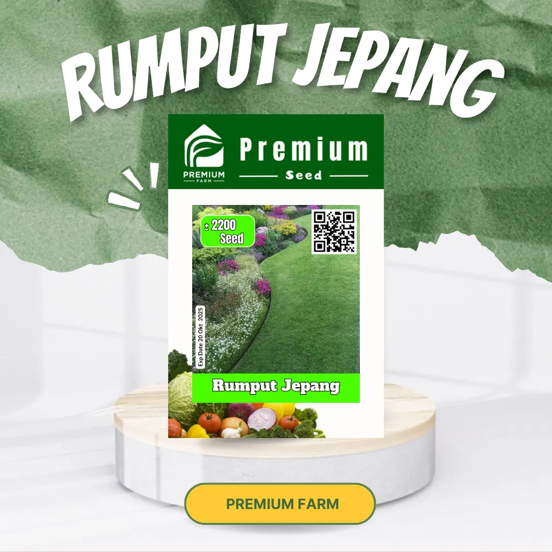 Benih Bibit Rumput Jepang Rumput Taman Rumput Lapangan benih  rumput golf