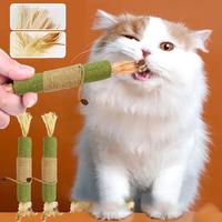 Gambar Vinnatsu NEW Mainan Kucing Catnip Stick Pembersih Gigi Natural Matatabi Ekstra Besar Catnip Stik Alami Suguhan - L dari Vinnatsu MALL2 Kab. Tangerang 4 Tokopedia