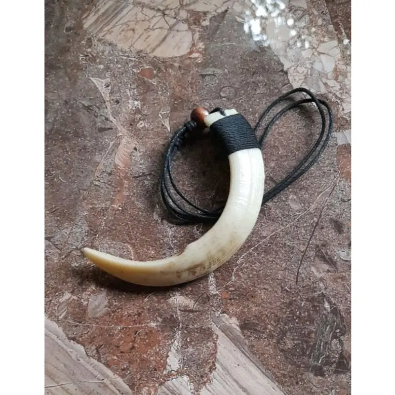 KALUNG TARING BABI 12CM REPLIKA
