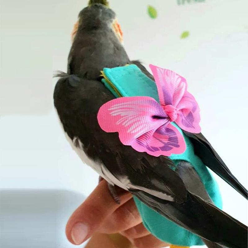 Bird Harness and Cloth Colorful Flying Rope Outdoor Training Toy for Cockatooes Outside Walk Go Out Supplies 4