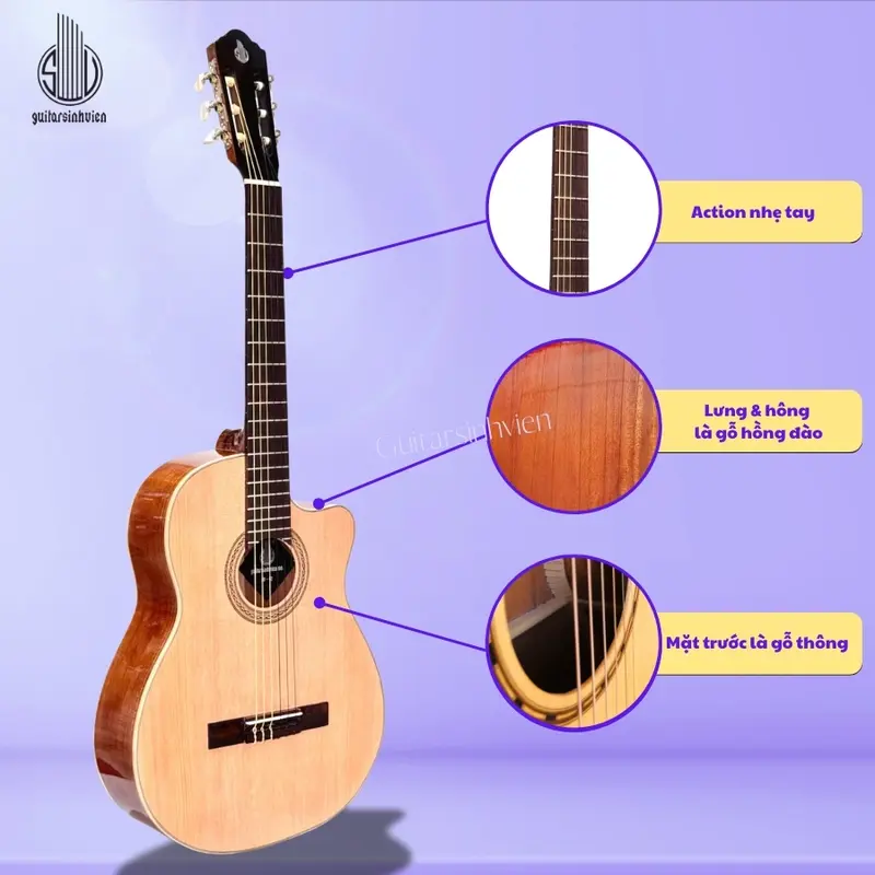 Đàn Guitar Classic Gỗ Hồng Đào Mã C2 | Tặng Kèm Bao Da Và Phụ Kiện 3
