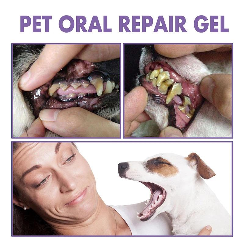 Product Introduction of Pet Teeth Cleaning Tooth Whitening Pen Suitable For Dogs And Cats Remove Bad Breath Pet Oral Care 13