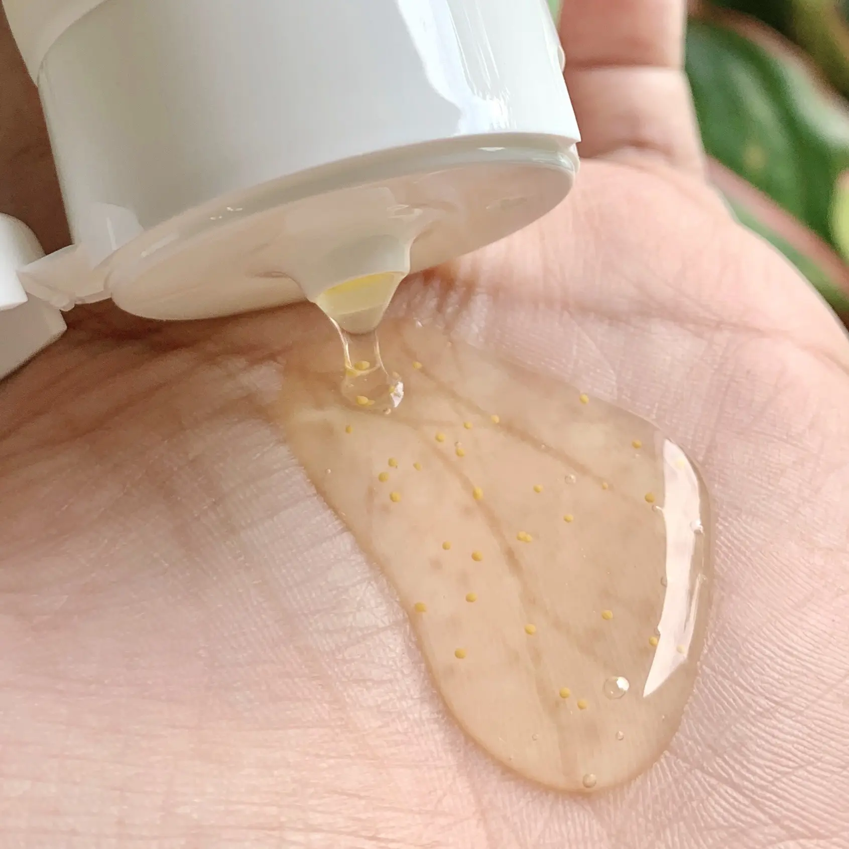 Sữa Rửa Mặt Thảo Dược Sắc Ngọc Khang Làm Sạch Dịu Nhẹ - Hỗ Trợ Da Mềm Mịn Hạn Chế Khô Da 2PL | BigBuy360 - bigbuy360.vn Sữa Rửa Mặt Thảo Dược Sắc Ngọc Khang Làm Sạch Dịu Nhẹ - Hỗ Trợ Da Mềm Mịn Hạn Chế Khô Da 2PL | BigBuy360 - bigbuy360.vn