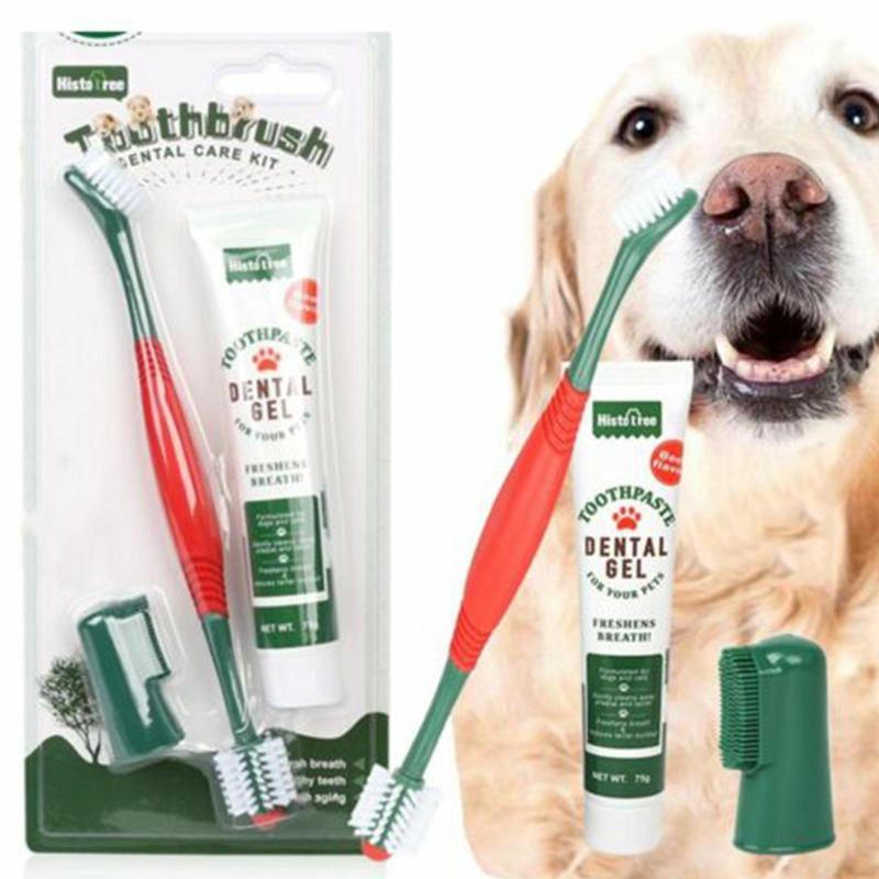 Product Introduction of 1pc Pet Toothpaste Toothbrush Set 360° Cat Dog Dental Cleaning Supplies Pet Oral Brush Clean Y2W1 38