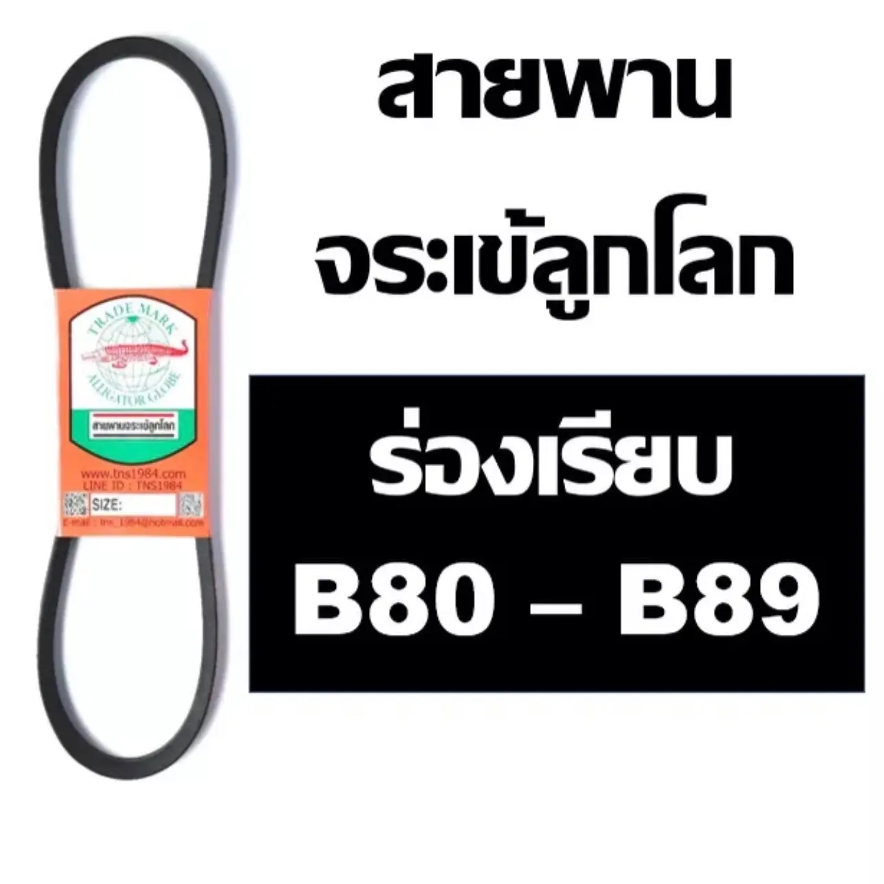 สายพาน จระเข้ลูกโลก ร่อง B ร่องเรียบ B B80 B81 B82 B83 B84 B85 B86 B87 B88 B89 80 81 82 83 84 85 86 87 88 89