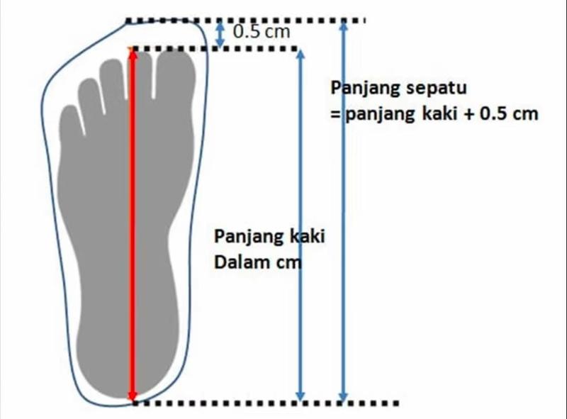 Product Introduction of Dequeen Store [COD]   Shoes Morey Sepatu Anak Laki Laki Perempuan Sneakera Anak  Ukuran 21-36 Usia 1-8 Tahun TOP PRODUK 0