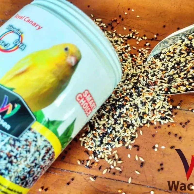 Wachsen Pakan Burung Kenari Smart Choice Royal Canary 3