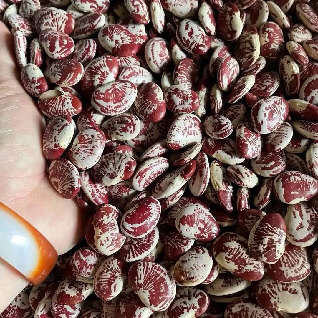 1kg hạt đạu ngự khô bao bở