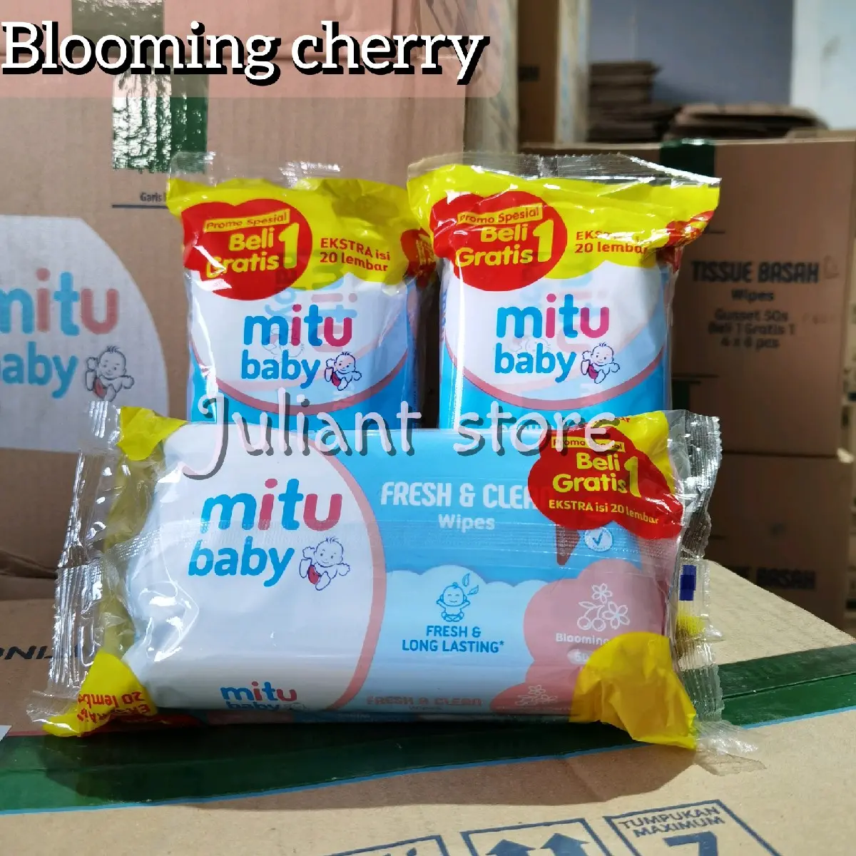 blooming chery/ pink