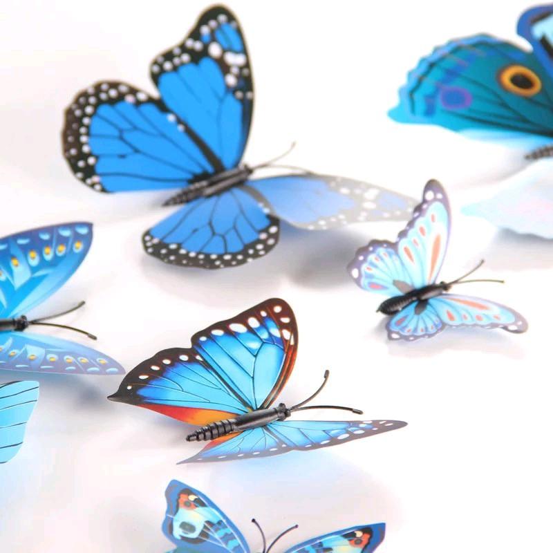 stiker 3d kupu kupu isi 12 2
