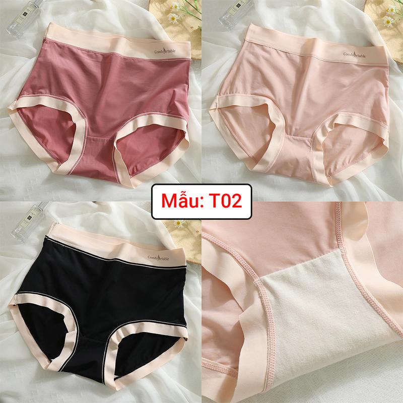 Quần nữ Bigsize Cạp Cao 48-100Kg- Vải Su Lạnh - Mã T02 Quần Lót Voi Women