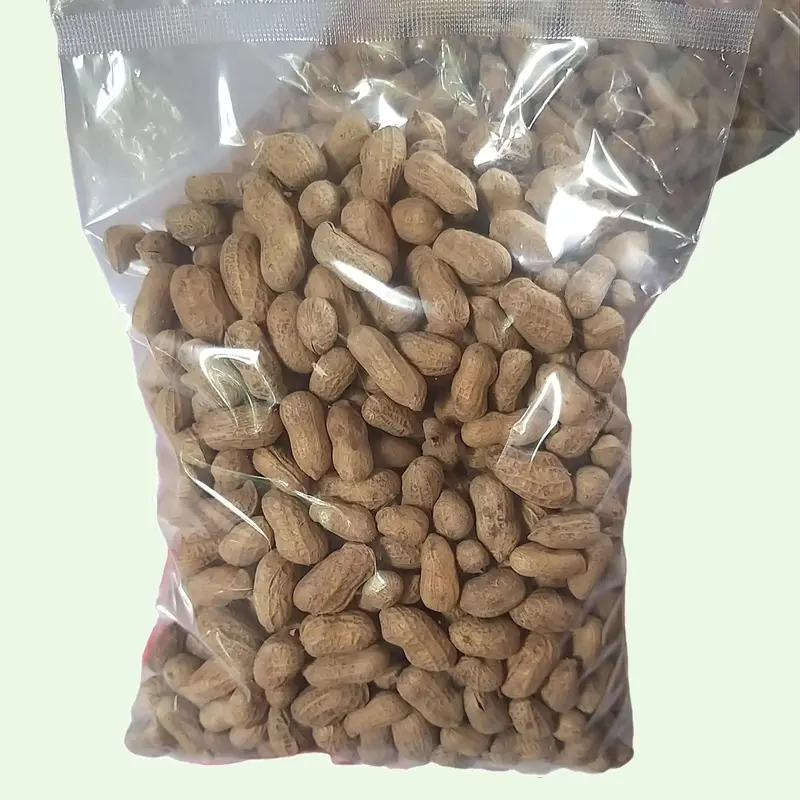 Đậu Phộng Rang Nguyên Vỏ Gói 450Gram ( Bịch 450G ) 0