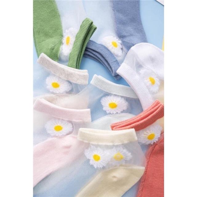 TẤT LƯỚI NỮ HOA CÚC HOẠ MI SIÊU XINH HOTTREND, SET GỒM 10 ĐÔI