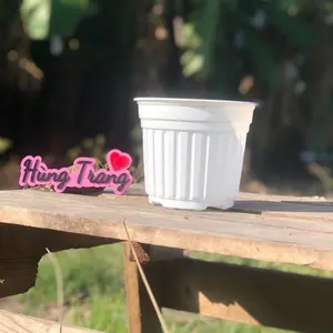 Chậu nhựa Hùng Trang