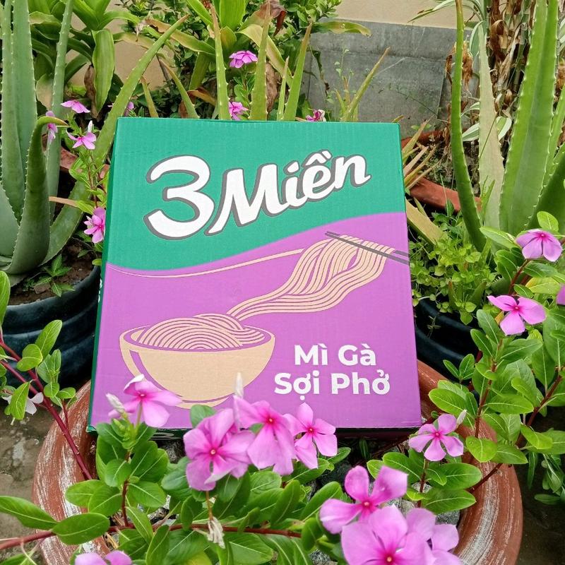 1 thùng mì 3 miền gà sợi phở