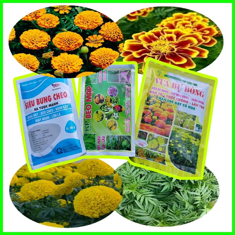Combo 3 gói phân bón bung chèo béo mập vua bự bông
