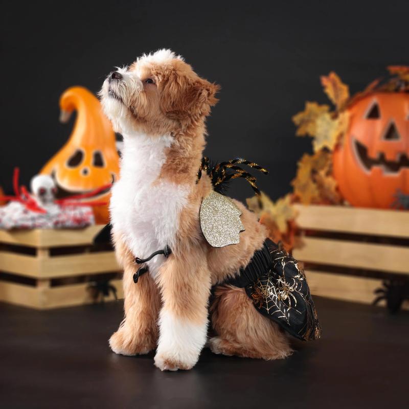 Product Introduction of Halloween Versatile Spider Set Small and Medium Dog Clothes 2