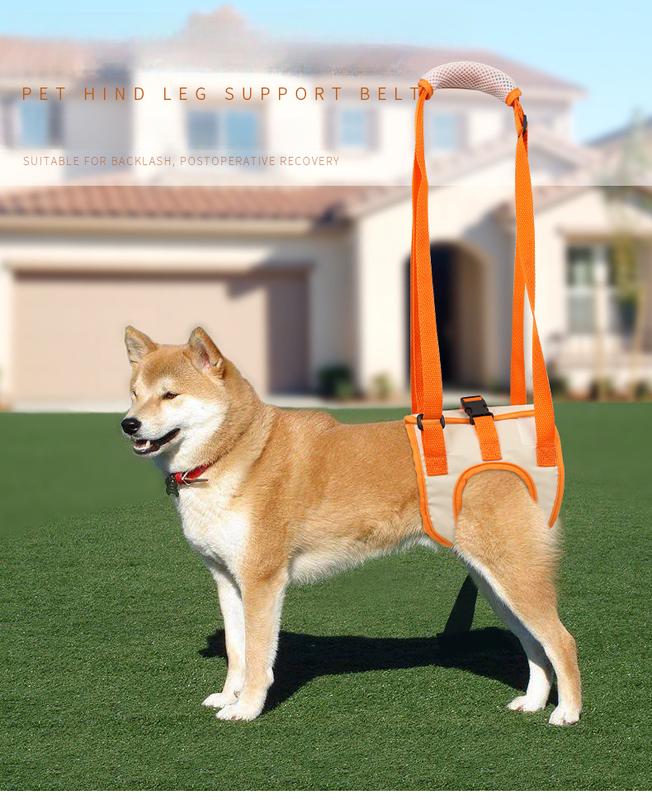 Product Introduction of Chomeo Pet Hind Leg Assist Belt, Elderly Dog ​​Walking Assist Belt, Disabled Dog Rehabilitation Training Belt 0