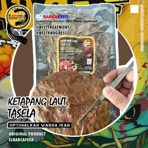 Elbarcafeed KETAPANG LAUT TASELA Super Lumer untuk Treatment Ikan Channa Cupang, Optimalkan Mutasi Warna & Mental Ikan Ketapang Merah