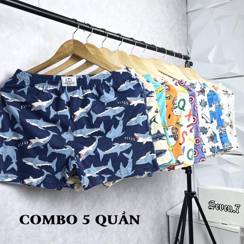 Product Introduction of COMBO 5 Quần đùi nam- Quần đùi thun nam Seven Boxer 0