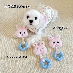 BabyWoof  2026新款 超级可爱 狗狗玩具 啃咬卡通毛绒咬胶玩具宠物猫咪狗狗磨牙玩具