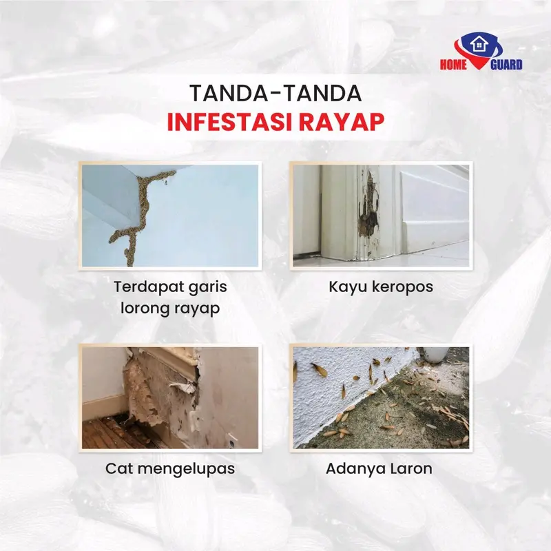 Home Guard Anti Rayap Cairan Pengusir Rayap Perlindungan Jangka Panjang - 100ml 5
