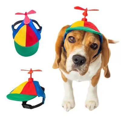 Cat With Propeller Hat And Lollipop Rubies Propeller Hat For Pets