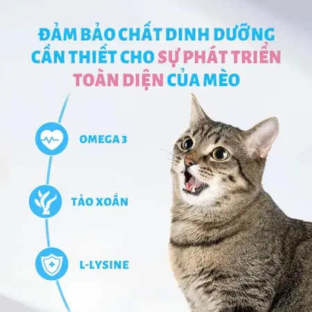 [1kg] Thức Ăn Hạt Cho Mèo MrVet - Hạt MrVet cho mèo mọi lứa tuổi 5