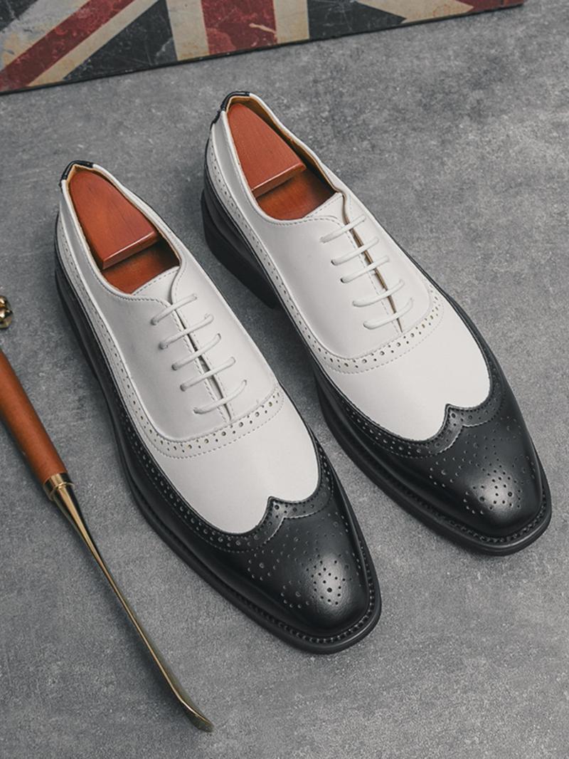 Product Introduction of Men's Fashionable Colorblock Lace Up Dress Shoes, Casual Comfortable Breathable Business Style Shoes for Work Office, Fashion Shoes for Party, Daily Clothing Decor 1