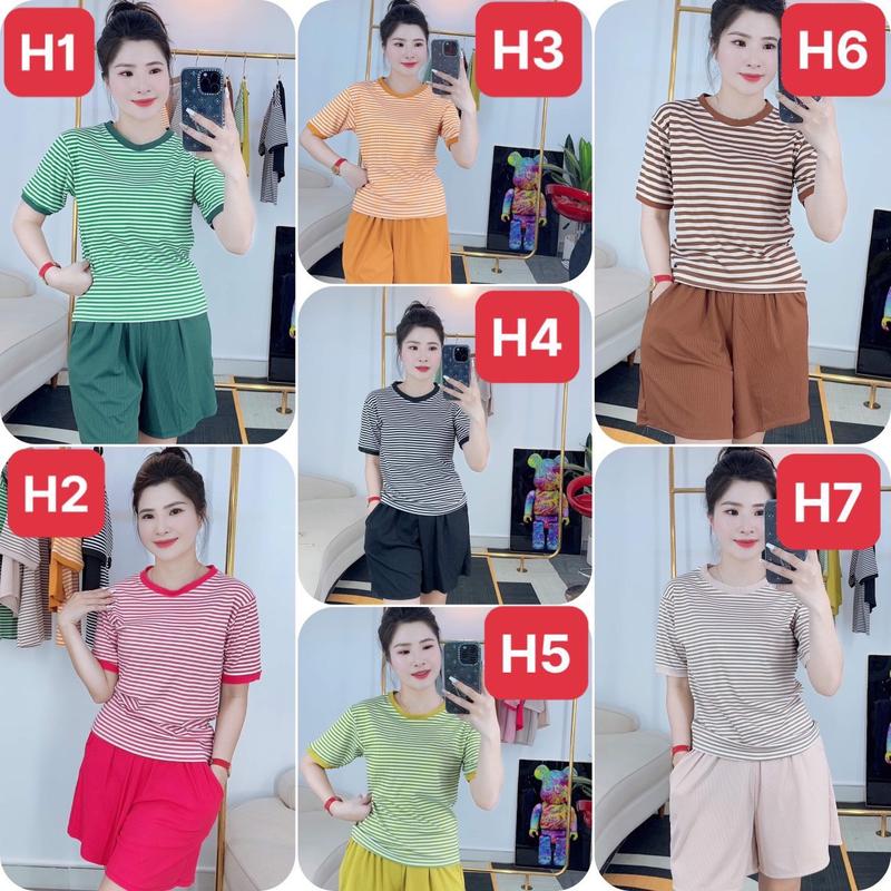 40-80kg Bộ thun tăm lạnh quần đùi phối áo sọc, đồ bộ bigsize