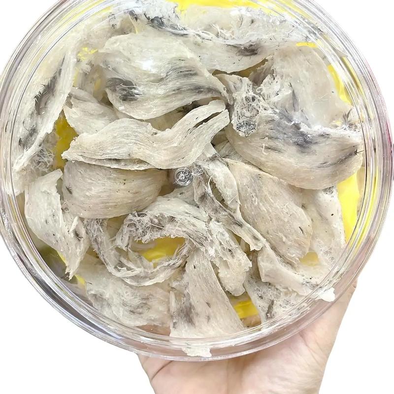 Yến thô Bể Sợi ( Yến bể nhỏ) - 100gr Tặng 10 gram đông trùng hạ thảo, táo đỏ, đường phèn, nhíp - Yến sào DANEST