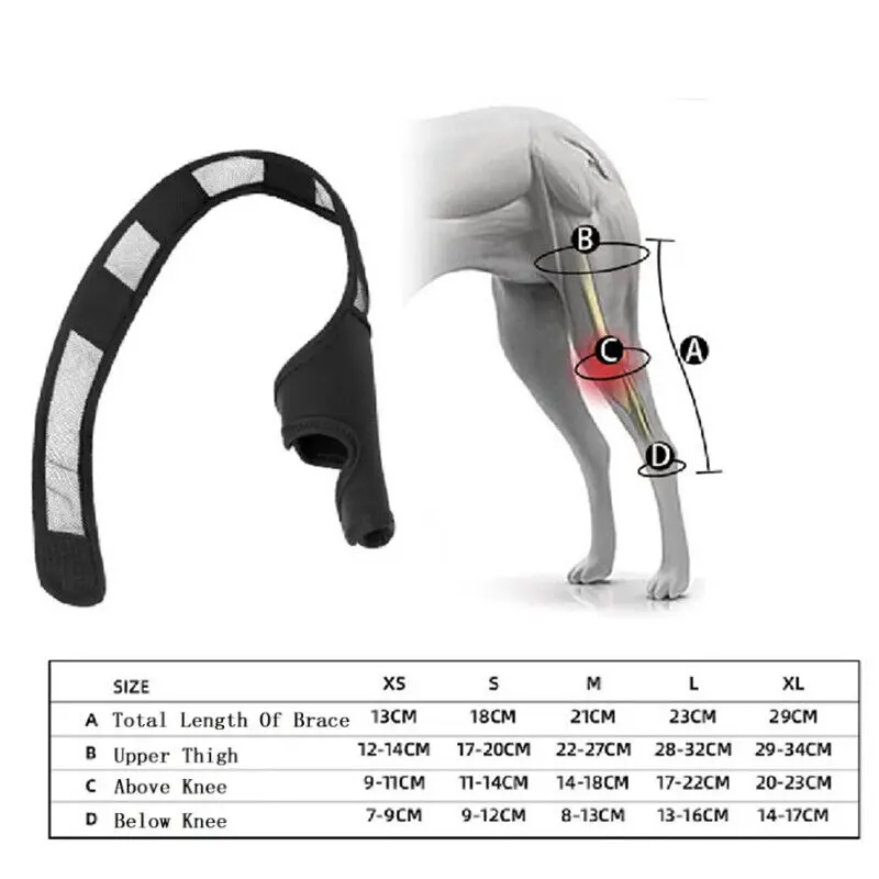 Nẹp Đầu Gối Cho Chó Cưng, Để Bong Gân Và Viêm Khớp, Hỗ Trợ Nẹp Chân Sau, Cho Chó, Giảm Đau Khớp 3