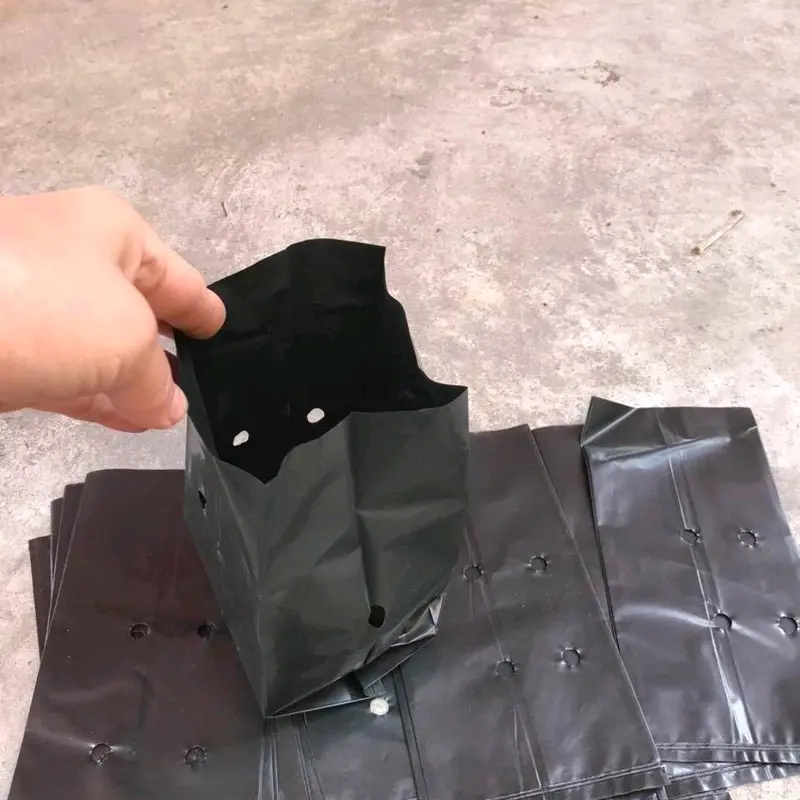 túi ươm cây mã 7.35 ( 1 kg được 210 cái) 5