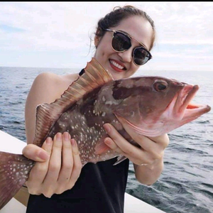 Anh Béo Fishing Tackle