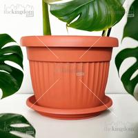 Gambar Claris Garden 5822 Florence Pot Tanaman Kebun Bunga Taman + Tatakan 3L Plastik dari The Kingdom Shop Kota Administrasi Jakarta Utara 2 Tokopedia