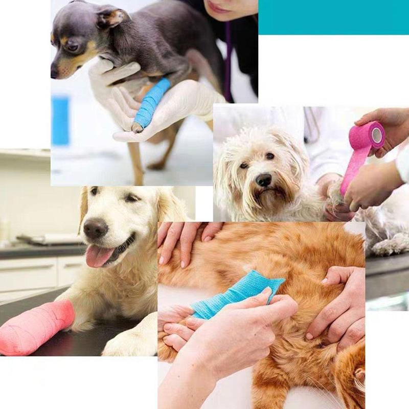 Product Introduction of Pet Elastic Self-Adhesive Bandage Sports Compression Elastic Patch Tape A0R6 32