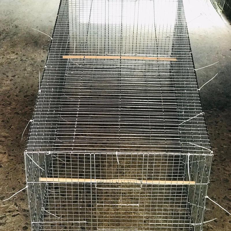 Lồng tập lực cho Chim ĐH 50x1m2 M