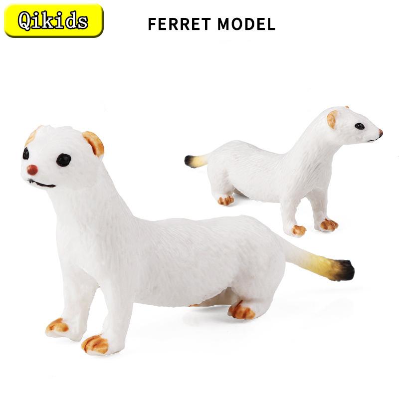 codChildren's Enlightenment Simulation Wild Animal Ferret blindfolded ...