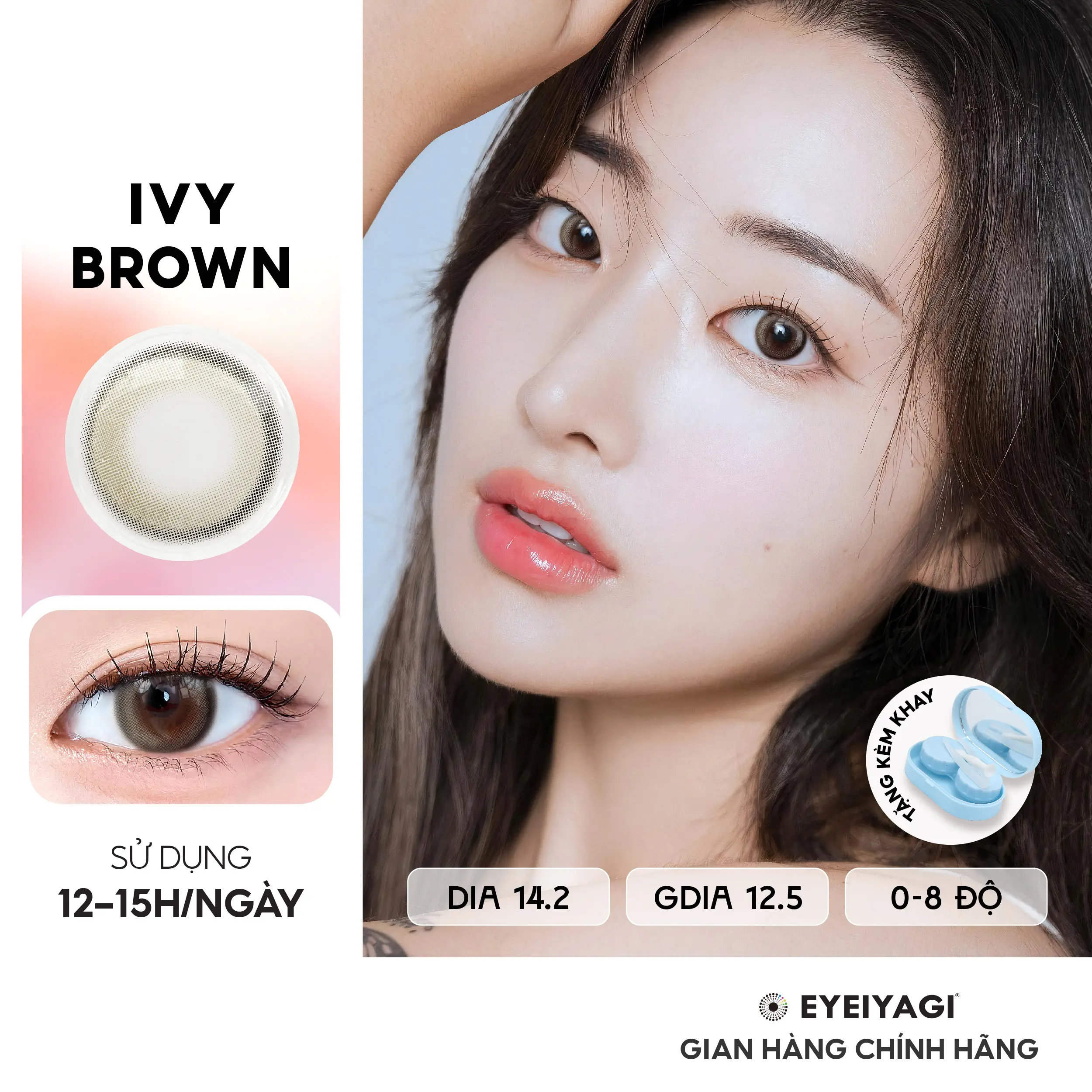 Kính áp tròng EYEIYAGI nâu trà đen Ivy Brown  cận 3 tháng độ cận 0-8 DIA 14.2mm | Lens chính hãng Hàn Quốc