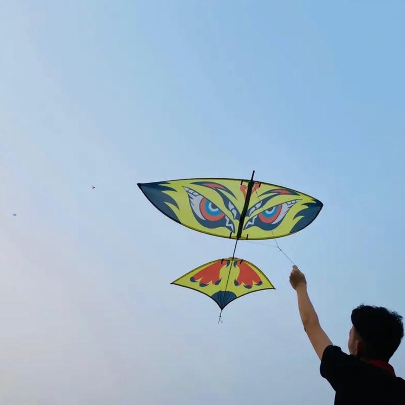 Diều lắp ghép cacbon 1m7 vải áo in nhiệt. Khung cacbon chịu lực cực tốt gió nhẹ cũng lên #dieusao Bộ quà tặng Bộ quà tặng Nhiều màu Nhiều màu Ưng Đồ Chơi ưng vàng diều sáo khổng lồ 30000000000000000m