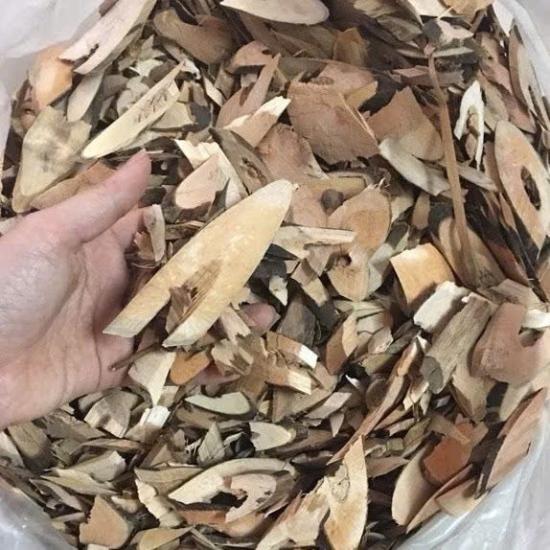 Cây gối hạc 1Kg khô hàng sạch, thơm ngon nguyên chất tốt cho xương khớp 1