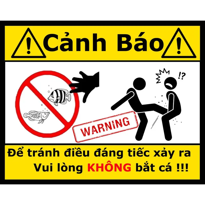 Logo cảnh báo vui nhộn dán bể cá cảnh , có keo sẵn , nhiều mẫu mã 5