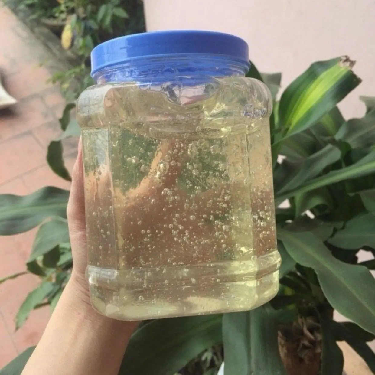 1KG MẠCH NHA NẤU KẸO