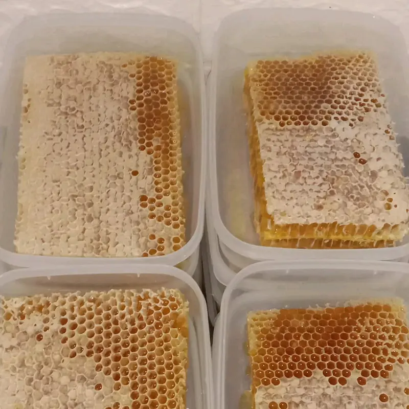 madu sarang asli 250 gram organik alami Rendah gula honey herbal Asam Manis Kental 4