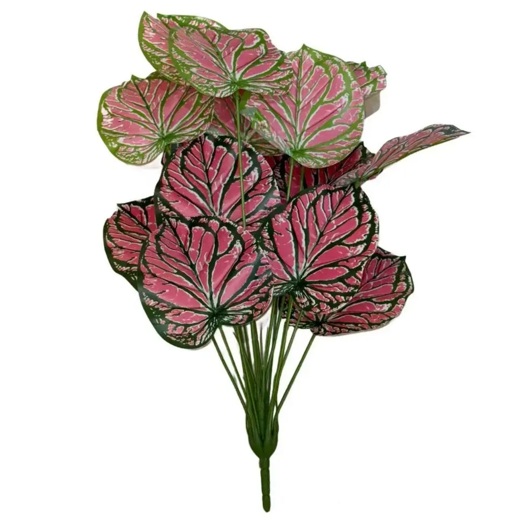 LEAF 888 (tanpa pot)