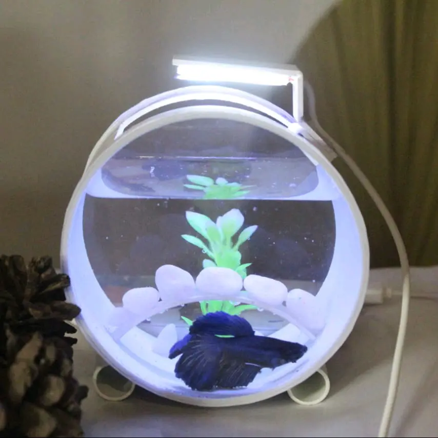 akuarium mini ikan hias bulat dekorasi rumah
