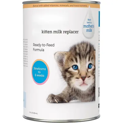 Cats Drink Can You Feed Kittens Evaporated Milk Kitten Formula Can